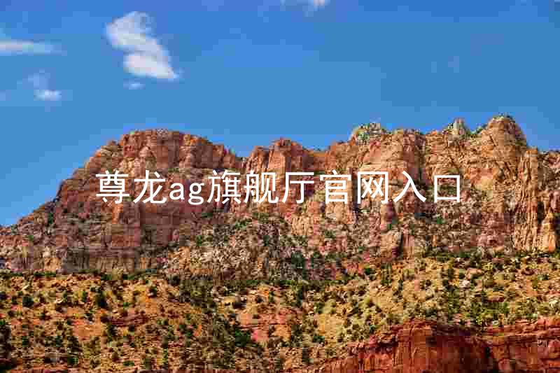 尊龙ag旗舰厅官网入口