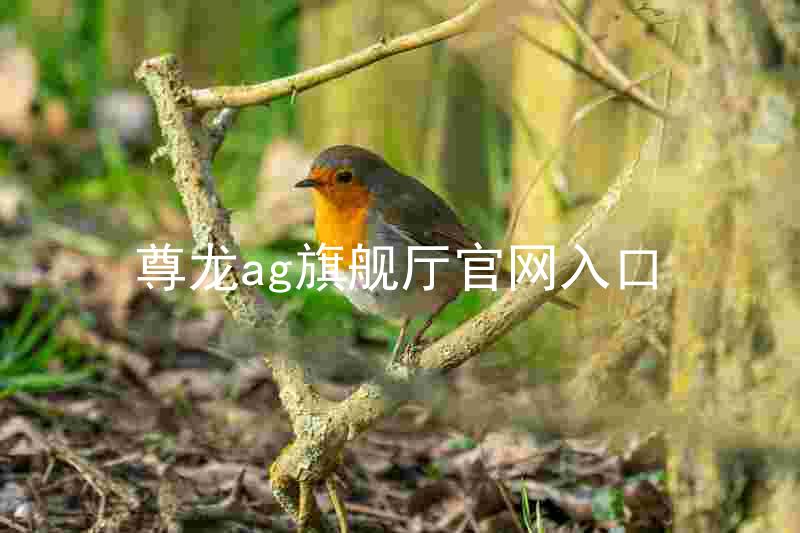 尊龙ag旗舰厅官网入口
