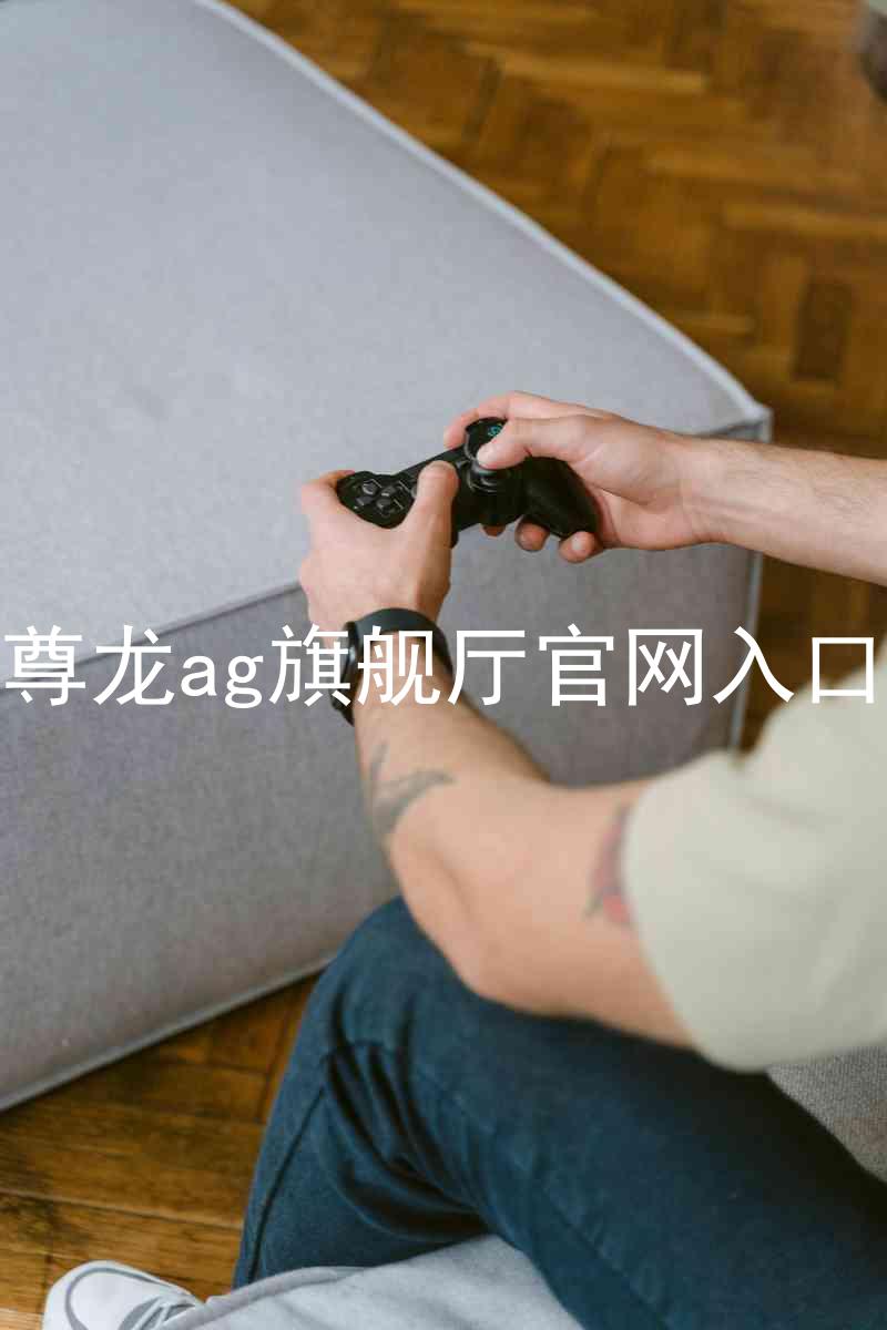 尊龙ag旗舰厅官网入口