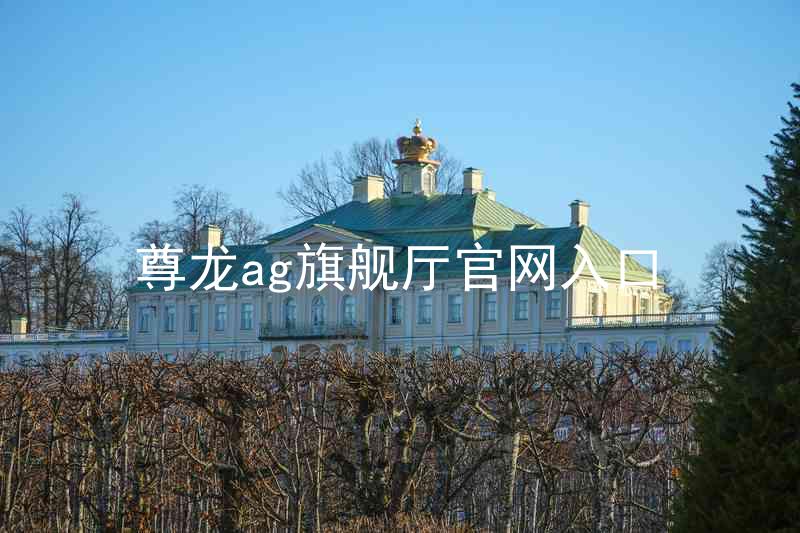 尊龙ag旗舰厅官网入口