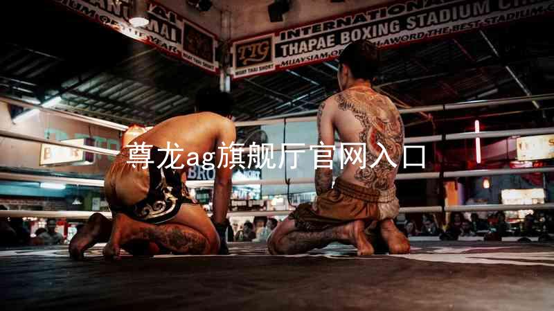 尊龙ag旗舰厅官网入口